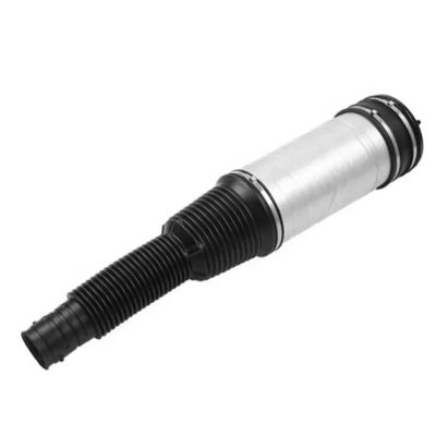 W220 Air Spring Belakang