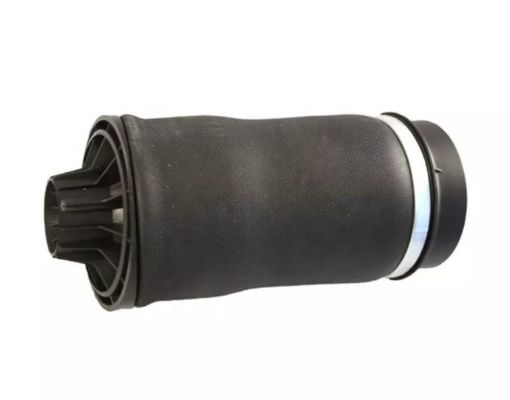 W251 Air Spring Belakang