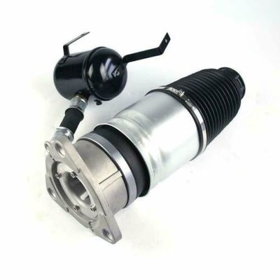 A8 D3 Air Spring Belakang