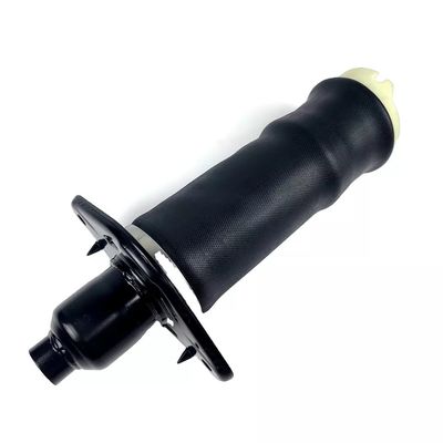 A6 C5 Air Spring Belakang L&amp;R