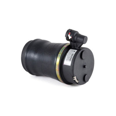 Kinerja Tinggi Untuk Ford Belakang Air Spring Brand New 17610025-101, 17610025-102