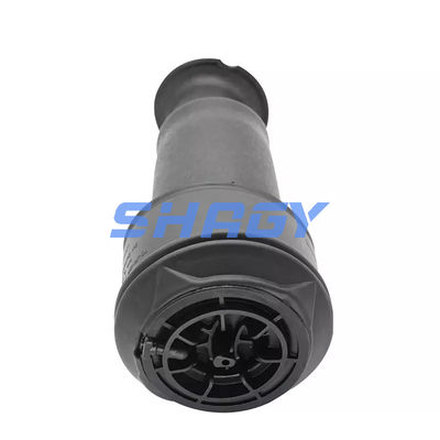 Untuk Mercedes Citroen C4 belakang 96819460805102 GN5102R8 Air Spring